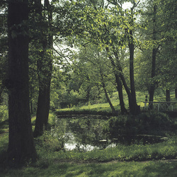 Värivalokuva puiston keskellä olevasta lammesta. Kuvassa lehtipuiden ympäröimän lammen yli kulkee puinen kävelysilta.